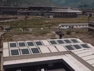 Grimer shpk Grimer shpk